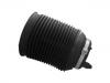 Boot For Shock Absorber:48080-35011
