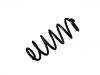 Coil Spring:48231-0F040