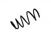 Coil Spring:48131-0F120
