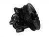 Power Steering Pump:49110-77R00